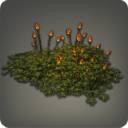 Bloodblossoms