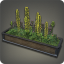 Large Planter Box