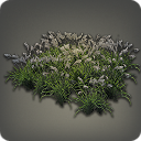 Oriental Grass