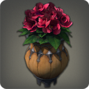 Potted Azalea