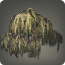 Far Eastern Willow