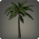 Island Palm