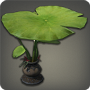 Lotus Parasol