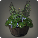 Low Barrel Planter