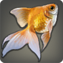 Copperfish