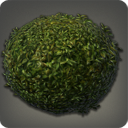 Rounded Shrub