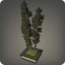 Bamboo Flowerpot