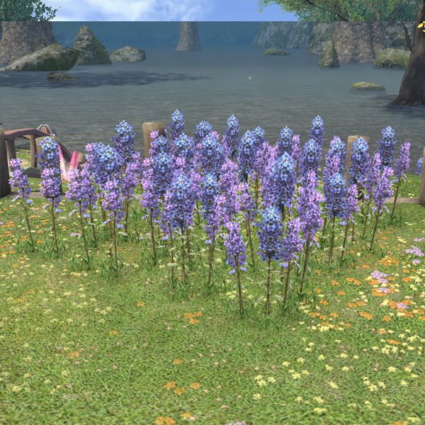 Lupin Plot