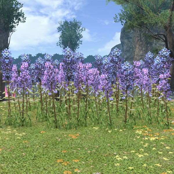 Lupin Plot