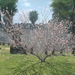 Death's Fingers
