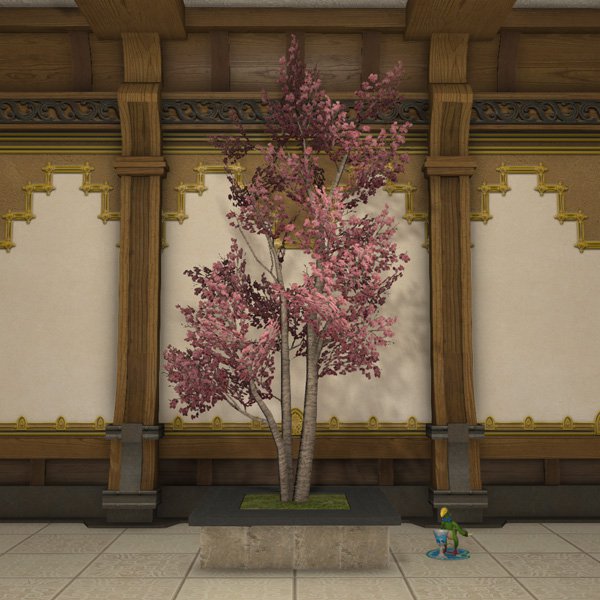 Doman Dogwood