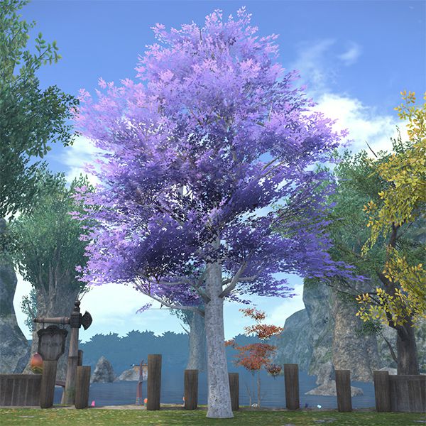 Lakeland Elf Tree