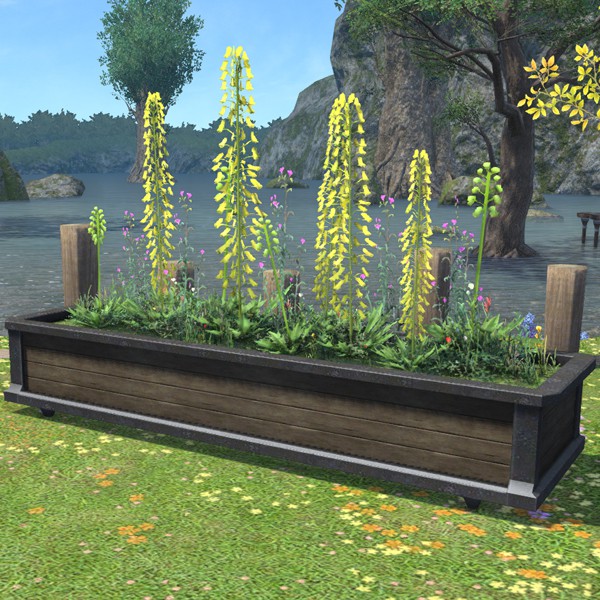 Large Planter Box