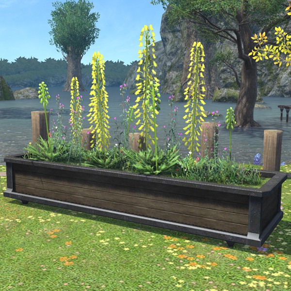 Large Planter Box
