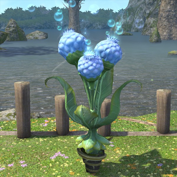 Moongrass Plot