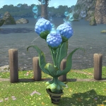 Moongrass Plot