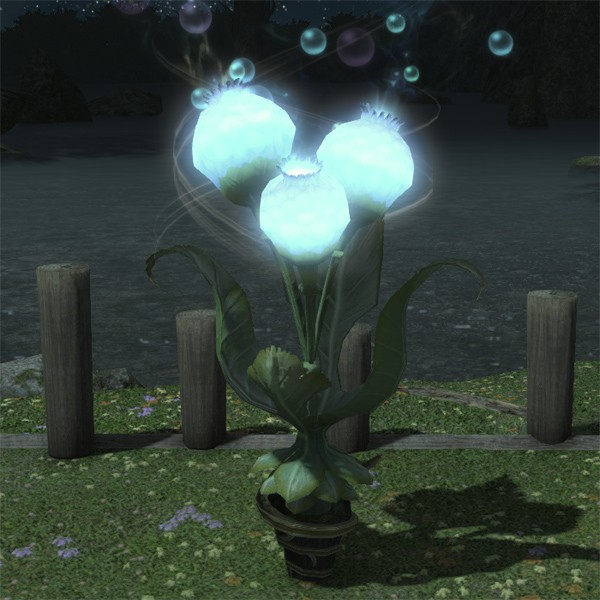 Moongrass Plot