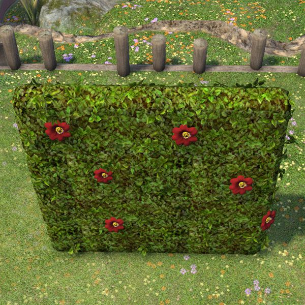 Hedge Partition