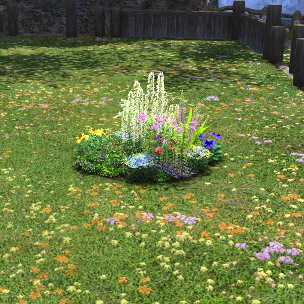 Colorful Flower Patch