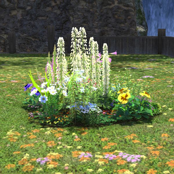 Colorful Flower Patch
