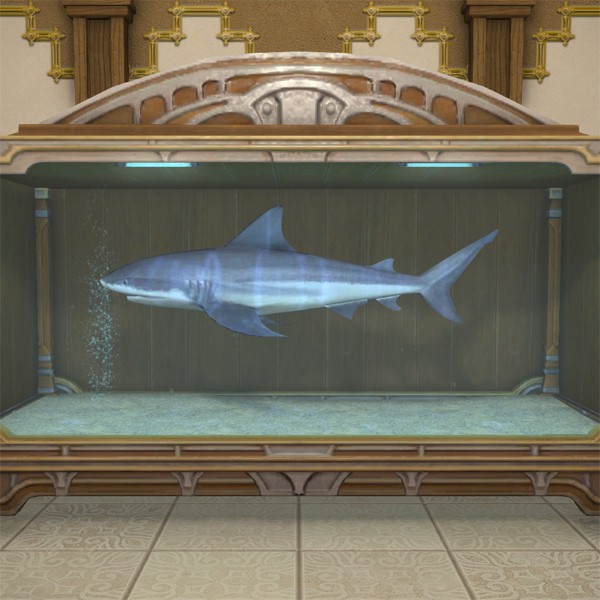 Silver Shark