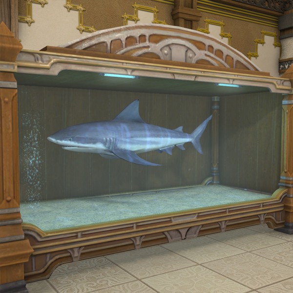 Silver Shark