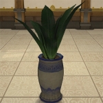 Potted Maguey