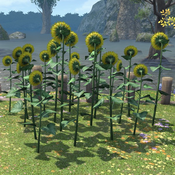 Sunflower Plot