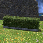 Low Garden Hedge