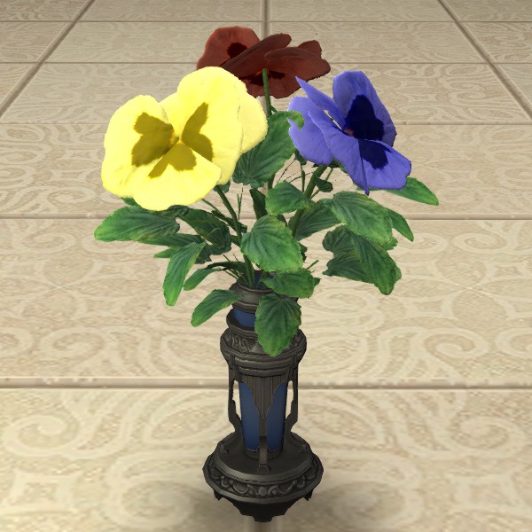 Rainbow Violas