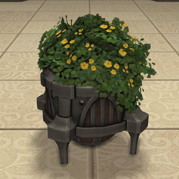 Potted Axilflower