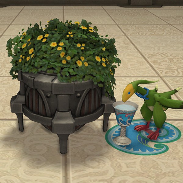 Potted Axilflower