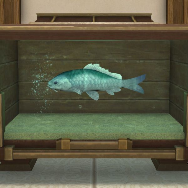 Blue Prismfish