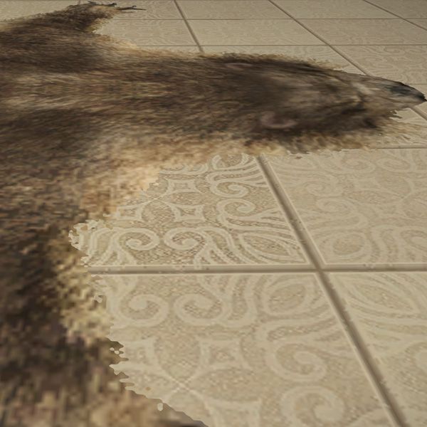 Bearskin Rug