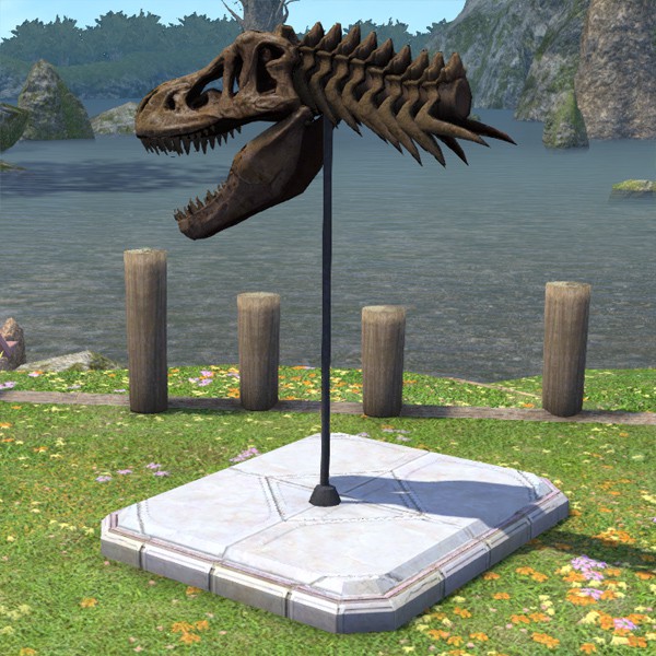 Dinosaur Skull