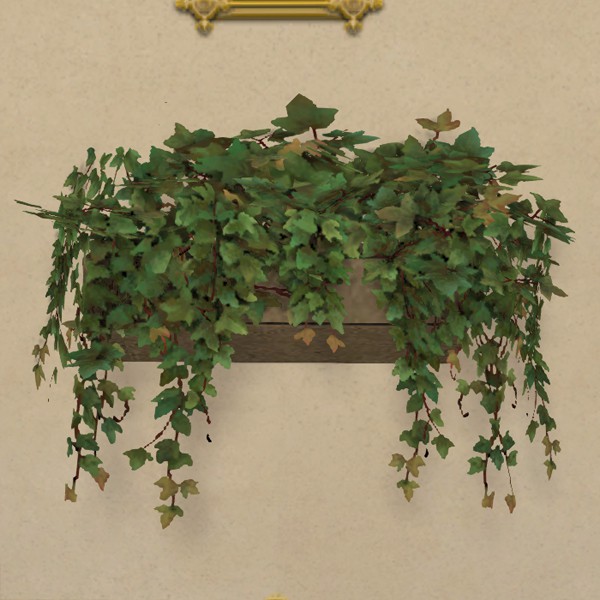 Wall Planter