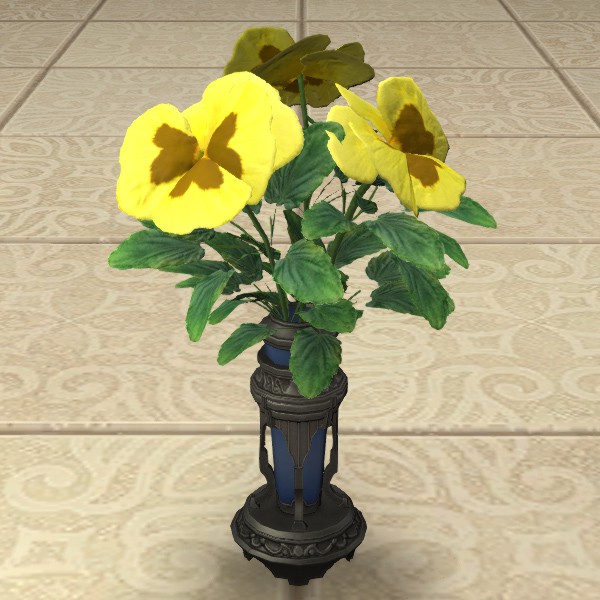 Yellow Violas