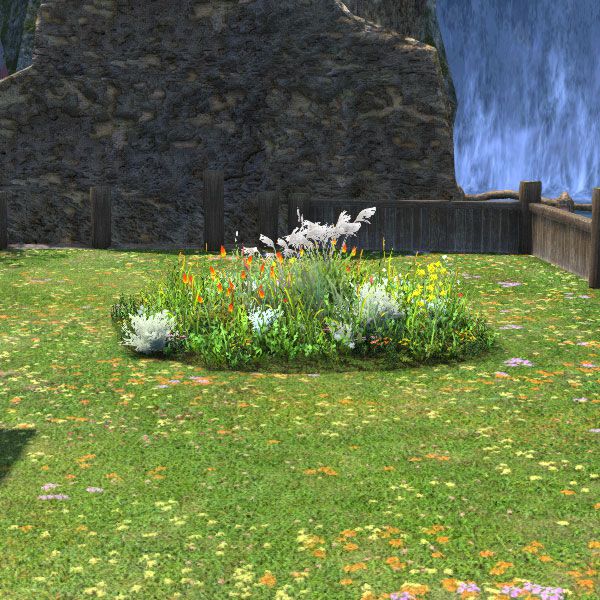 Wildflower Bed
