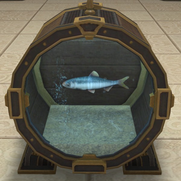 Harbor Herring