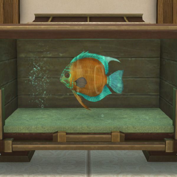 Paglth'an Discus
