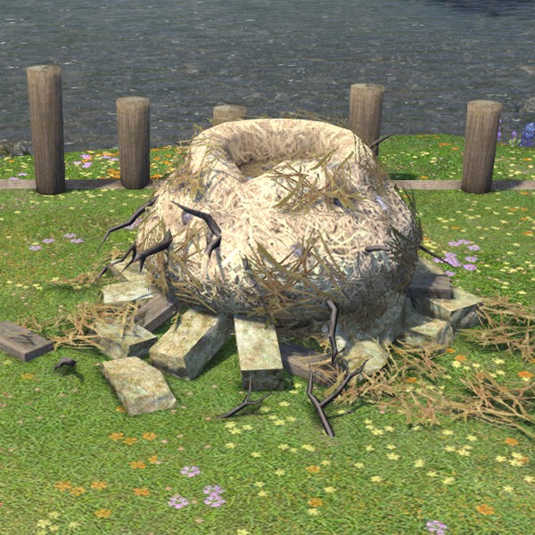 Dodo's Nest