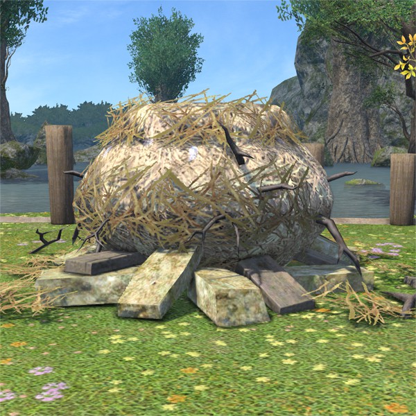 Dodo's Nest