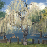 Far Eastern Willow