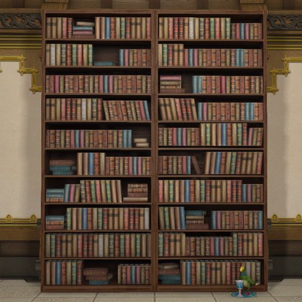 Mounted Bookshelf