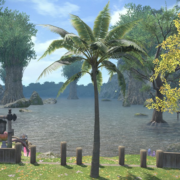Island Palm