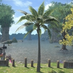 Island Palm