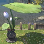 Lotus Parasol