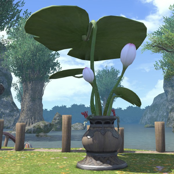 Lotus Parasol