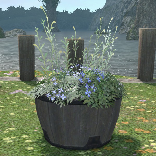 Low Barrel Planter