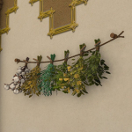 Botanist's Dried Herbs